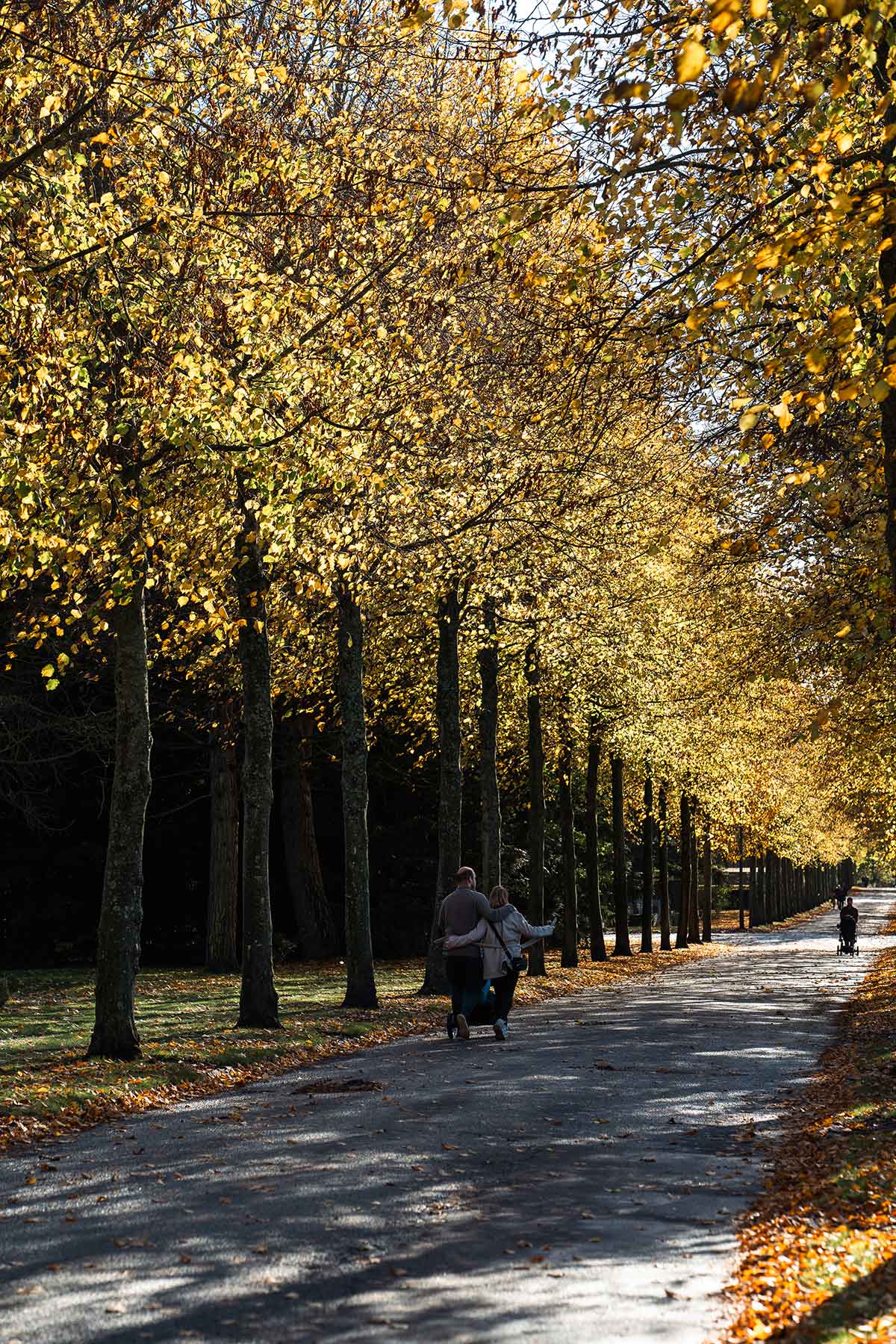 Kirkegård i efteråret